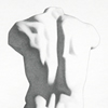 Male Torso